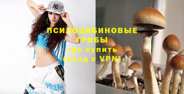 apvp Белокуриха
