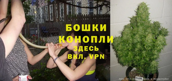 мяу мяу мука Белоозёрский