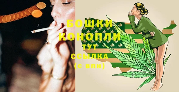 apvp Белокуриха