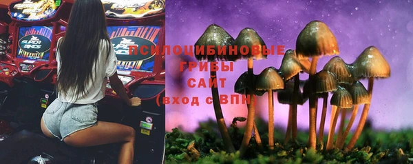 мяу мяу мука Белоозёрский