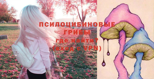метадон Беломорск