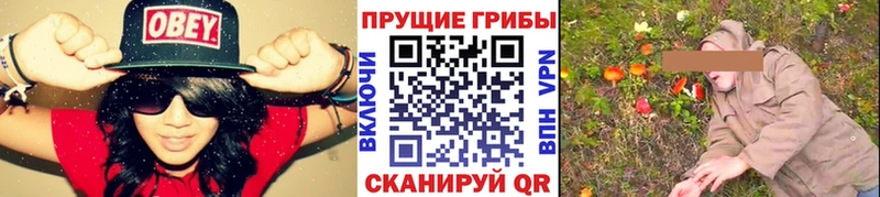 где купить наркоту  Мосальск  Псилоцибиновые грибы Magic Shrooms 